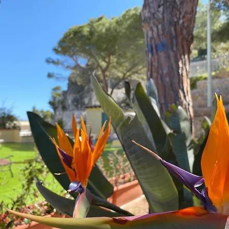 Holiday home Solemar Sicilia - Marlene *